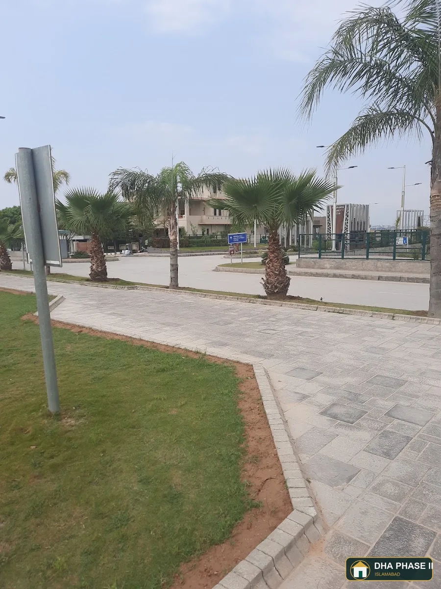Jacaranda Park