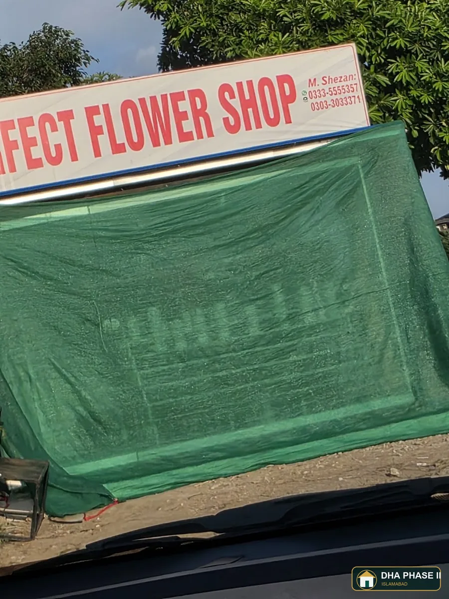 PERFECT FLOWER SHOP 🌼 in DHA Phase 2 Islamabad — photo 2