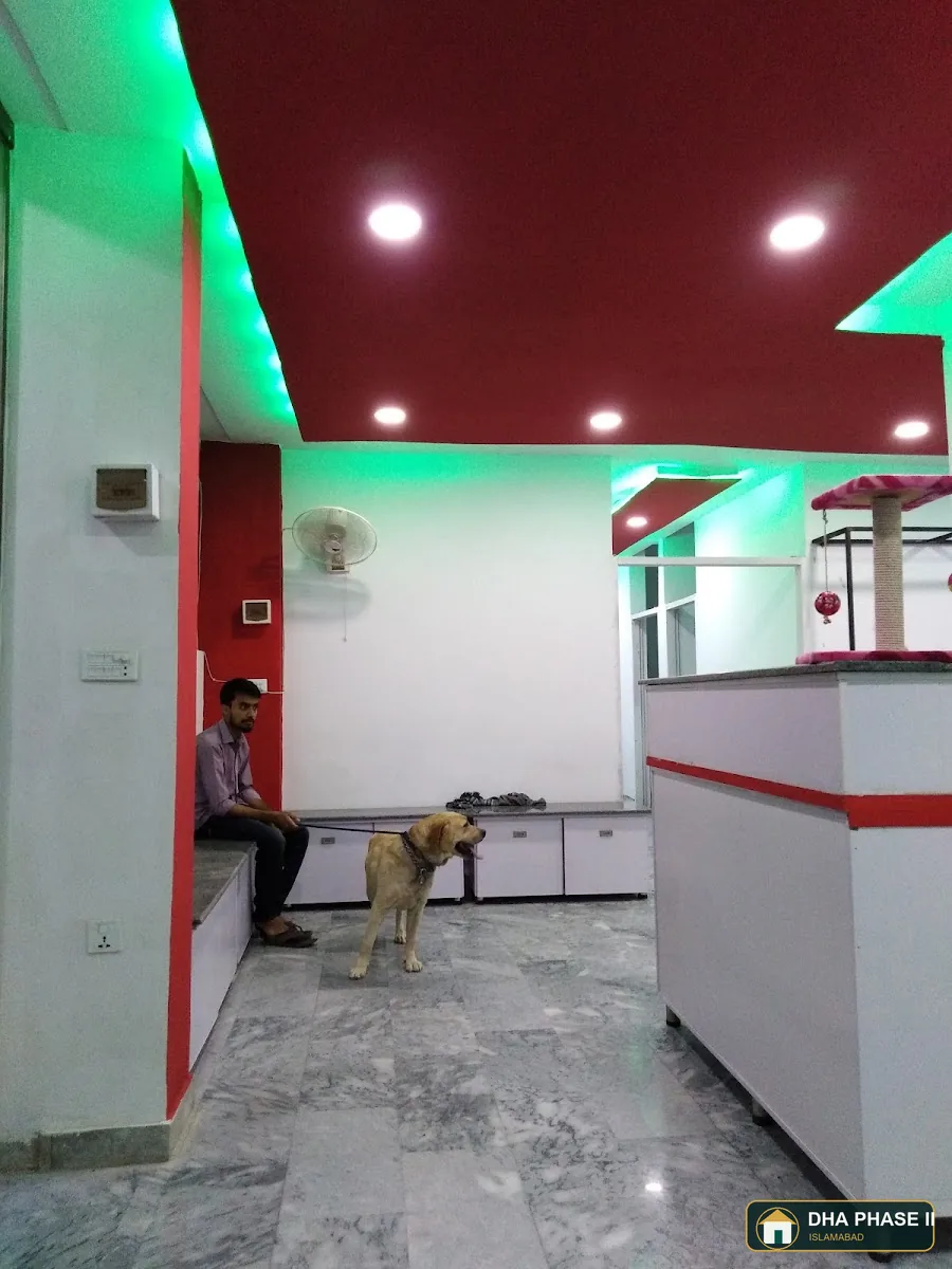 Pet & Pat Clinic