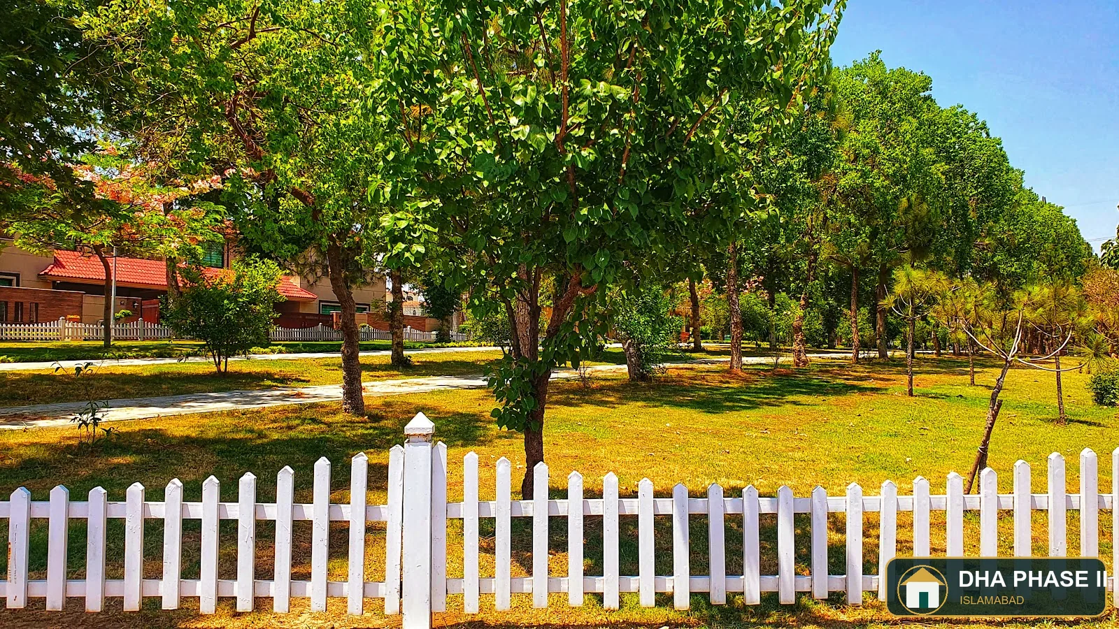 Pine Park